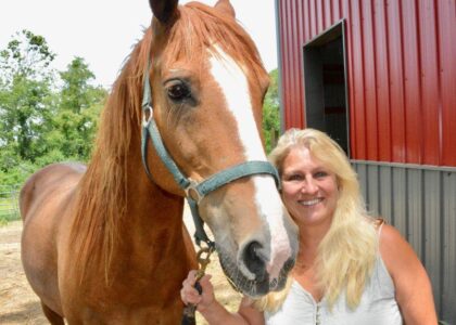 Horses heal human trauma